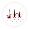 Benefit Icon